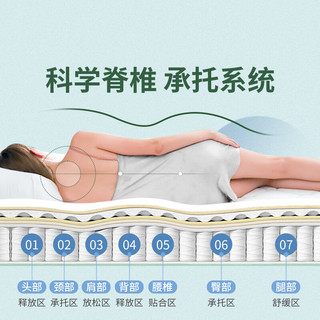 TLK 圣菲·经典款床垫 天然乳胶独立弹簧护脊 1500×1900mm 23cm厚
