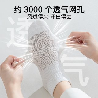 猫人 纯棉女士夏季薄款透气吸汗抗菌防臭网眼短袜