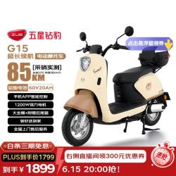 五星钻豹 G15 电动摩托车 60V20AH铅酸电池