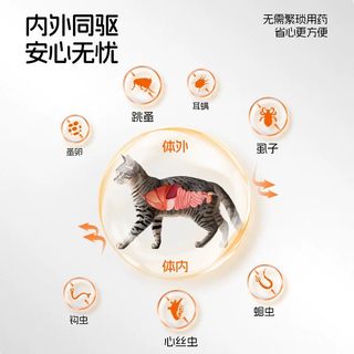 大宠爱 猫咪体内外驱虫药