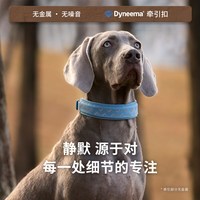 DAQQAB 静音磁吸宠物项圈