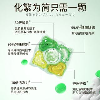 PURE ROCKY 山茶花香氛洗衣凝珠 60颗