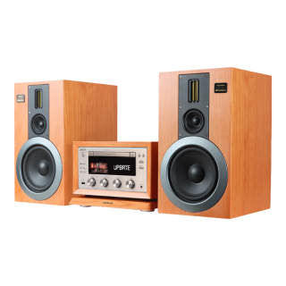 SANSUI/山水 M2 胆机CD/DVD组合音响 黑色 木质箱体 HIFI电子管功放