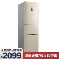 晶弘 格力晶弘冰箱BCD-225WETC