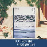 新华文轩 我的世界下雪了 迟子建散文集