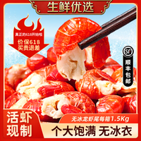 洪湖渔家 单冻龙虾尾1.5kg 无冰衣冷冻生鲜 特级龙虾尾1.5kg（100粒/斤）+晓飞哥调味包3袋