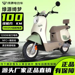 绿源 电动摩托车踏板式电动车