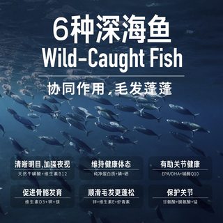 Orijen/渴望 六种鱼猫粮