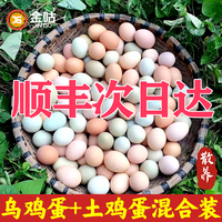 金咕 农家散养土鸡蛋