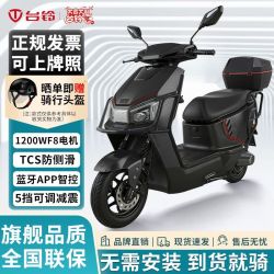 台铃 A16电动摩托车新款大马力长续航外卖通勤男女代步两轮电摩 空车