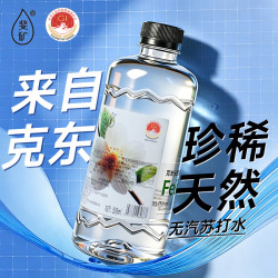 斐矿 克东天然苏打水500ml*12瓶 （四款随机发1箱）