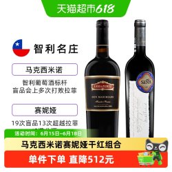 Vina Errazuriz ERRAZURIZ 伊拉苏 马克西米诺+赛妮娅 干红葡萄酒 2018年 750ml*2瓶装