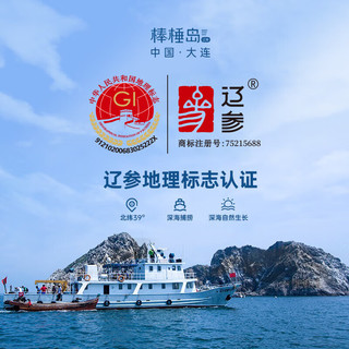 1号会员店 大连有机淡干海参 100g 16-20只