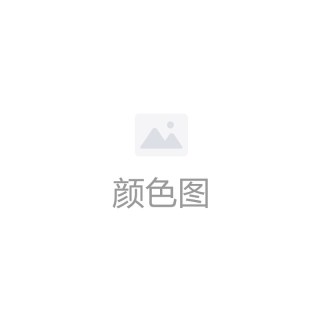 巴拉巴拉 儿童长袖T恤 基础柔软