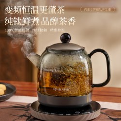 尚朋堂 T3纯钛养生壶花茶煮茶壶玻璃热水2026新款神器小型一人礼物