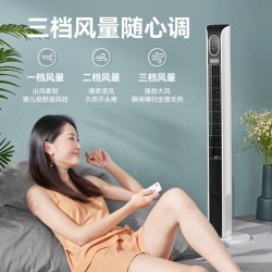 艾美特 塔扇家用电风扇无叶风扇智能落地扇遥控定时轻音立式大风力