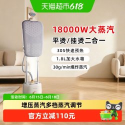 荣事达 手持蒸汽挂烫机家用熨斗烫衣服小型手持熨烫机挂立式电熨斗