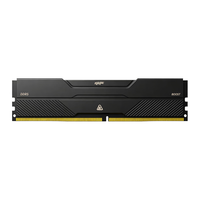 挚科 DDR5 6000MHz C40 16GB 台式机内存条