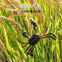 海天盘锦大米5kg压缩真空软香家庭厨房稻蟹共生10斤五谷宝藏