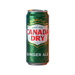 可口可乐 CANADA DRY加拿大干姜味汽水330ml*24罐 欧洲进口整箱美剧同款