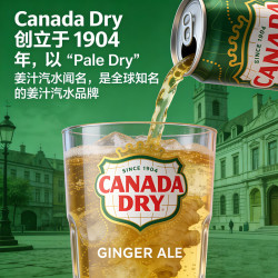 可口可乐 CANADA DRY 加拿大干姜汽水330ml*24 欧洲进口 中秋送礼