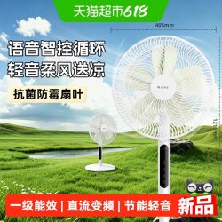 格力 电风扇一级能效家用直流变频节能大风遥控落地扇卧室轻音风扇