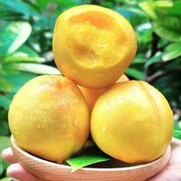 栀舒 山东蒙阴黄金毛桃新鲜桃子 2份合发一箱 包装随机 //黄金 毛桃 2.5斤装