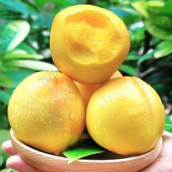 栀舒 山东蒙阴黄金毛桃新鲜桃子 2份合发一箱 包装随机 //黄金 毛桃 2.5斤装