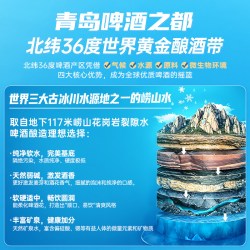 窈仙 鲜啤精酿青岛1516德式黄啤酒