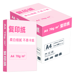 亚太森博 大 A4打印纸 70g 500张*5包 复印草稿纸 整箱2500张