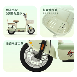 雅迪 大圣 小灵龙 48V21Ah铅酸电池 电动自行车 粉色