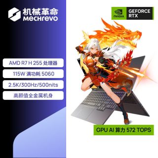 机械革命 翼龙15Pro（R7 H255、RTX 5060、32GB、1TB）