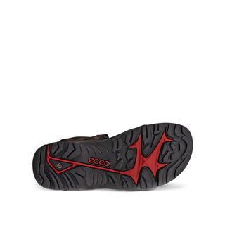 ECCO 爱步 男士越野 Offroad 凉鞋 摩卡色 40 EU