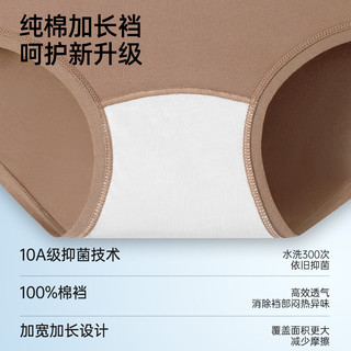 有棵树 10A级抑菌纯棉 浅紫+灰蓝+豆粉 3条装 2XL 女士内裤