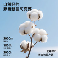 有棵树 10A抑菌纯棉女士内裤 L码 麻灰豆粉浅紫豆绿4条装