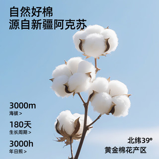 有棵树 10A级抑菌纯棉 浅紫+灰蓝+豆粉 3条装 2XL 女士内裤