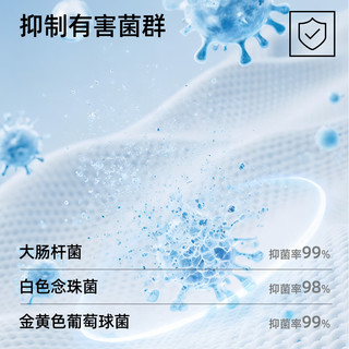 有棵树 10A级抑菌纯棉 浅紫+灰蓝+豆粉 3条装 2XL 女士内裤