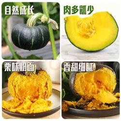 京鲜生 山东贝贝南瓜 净重9斤 单果150g+