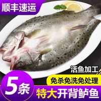 嵩海生鲜 中国大陆 开背海鲈鱼 450-500g/条
