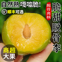 沐小七果蔬 四川正宗青红脆李脱骨李子非巫山新鲜应季水果礼盒 7A甄选果丨单果15-20g丨80%选