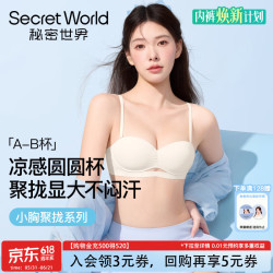SecretWorld 秘密世界 女士聚拢文胸 10222275659467