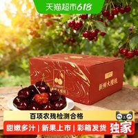 好鲜市集 大连美早樱桃