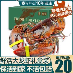 首鲜道 波士顿龙虾鲜活特大龙虾波龙礼盒小奥龙澳洲龙虾海鲜年货