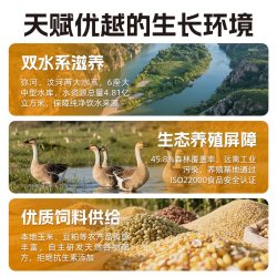 圣罗捷 鲜切鹅肝宝宝辅食法式鹅肝辅食鹅肝新鲜鹅肥肝