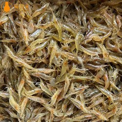 猫扑鱼 微山湖新鲜小草虾淡水小河虾鲜活活虾速冻可用醉虾小虾米