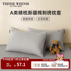 TEENIE WEENIE 小熊A类全棉枕套一对家用纯棉枕头套学生宿舍枕芯套单人枕巾枕套 2号灰 48cmX74cm