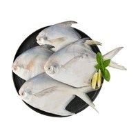 拾鲜生 银鲳鱼 新鲜冷冻 舟山海鲜