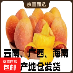正宗 海南薄皮贵妃芒果 2斤装单果100克+净重1.7斤