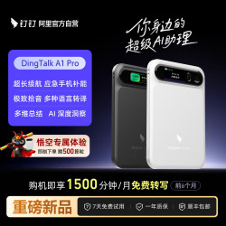 钉钉 A1Pro AI录音笔 【磁吸充电宝】