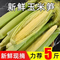 福月安 甜玉米笋 9斤 整箱